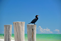 Naples Beach 01